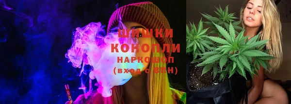 хмурый Липки