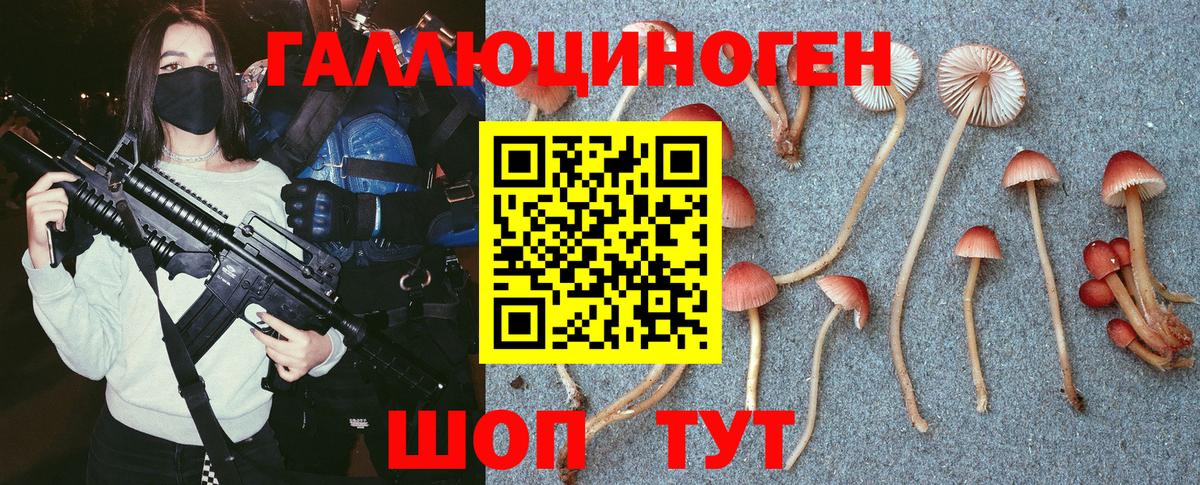 Галлюциногенные грибы мицелий Карабулак