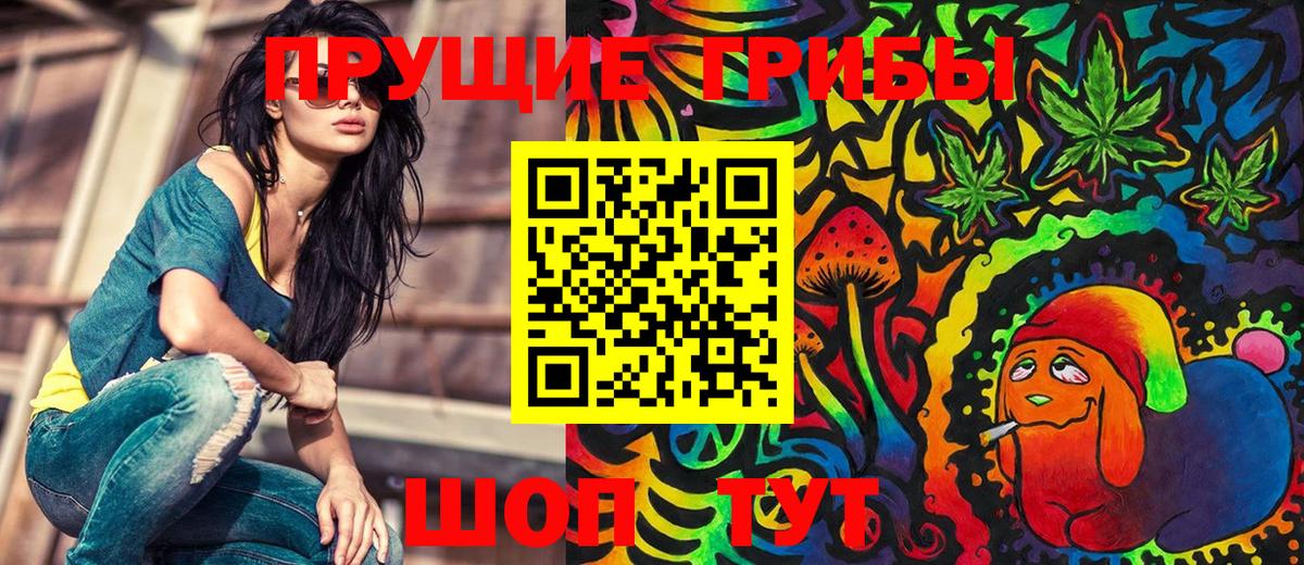 Галлюциногенные грибы Magic Shrooms  где купить наркотик  Карабулак  Вход с VPN 